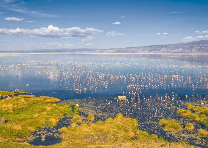 Vue aérienne des plaines de Tanzanie