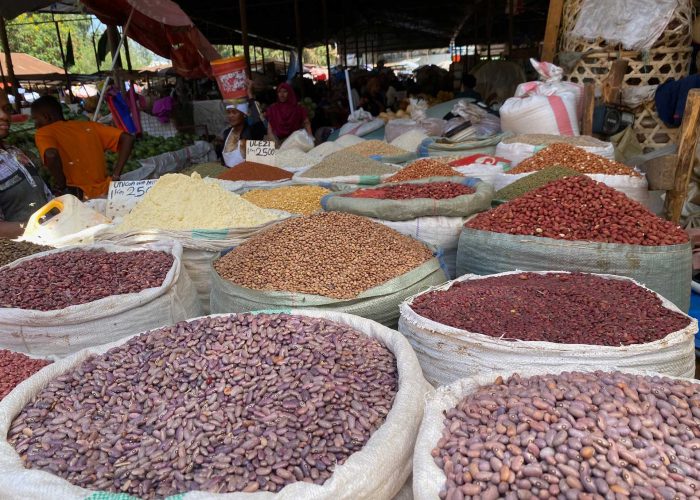 Activités---Visite-du-marché-des-épices--(4)
