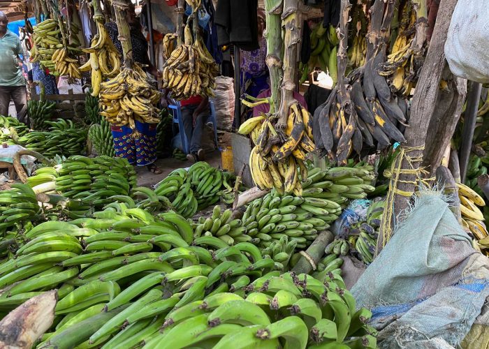 Activités---Visite-du-marché-des-épices--(5)