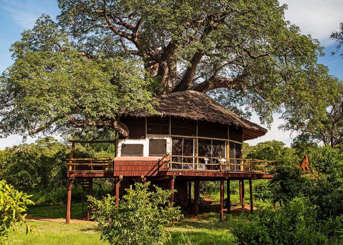 Bungalow perché du Elewana Tarangire Lodge