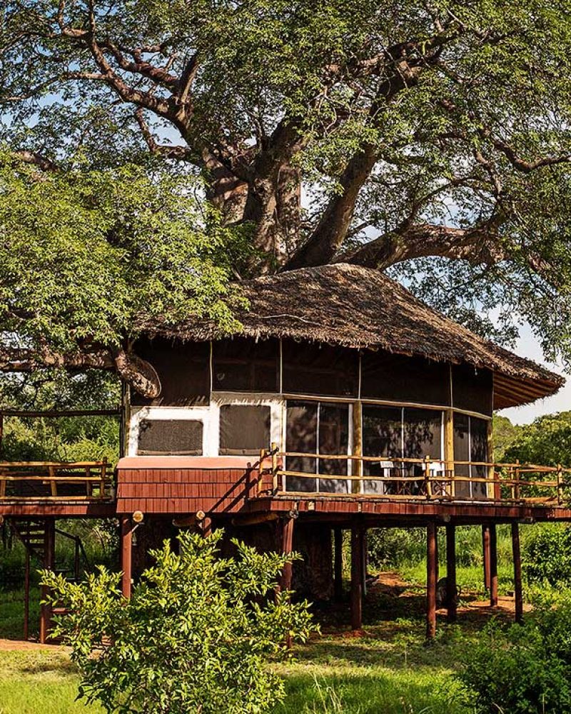 Bungalow perché du Elewana Tarangire Lodge