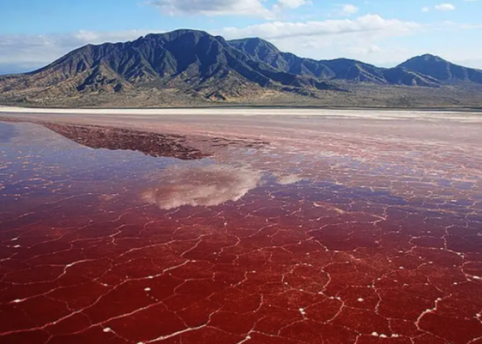 Lake-Natrond-red