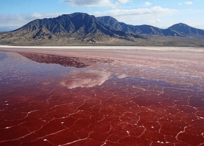 Lake-Natrond-red