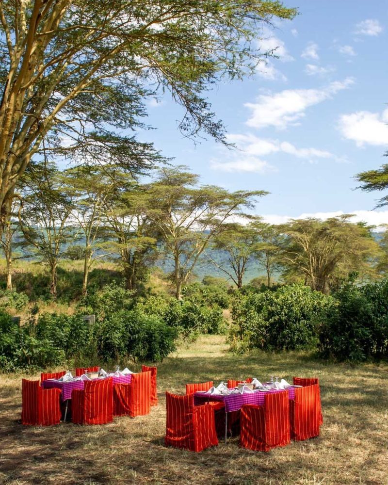 Le Ngorongoro Serena Hotel (2)