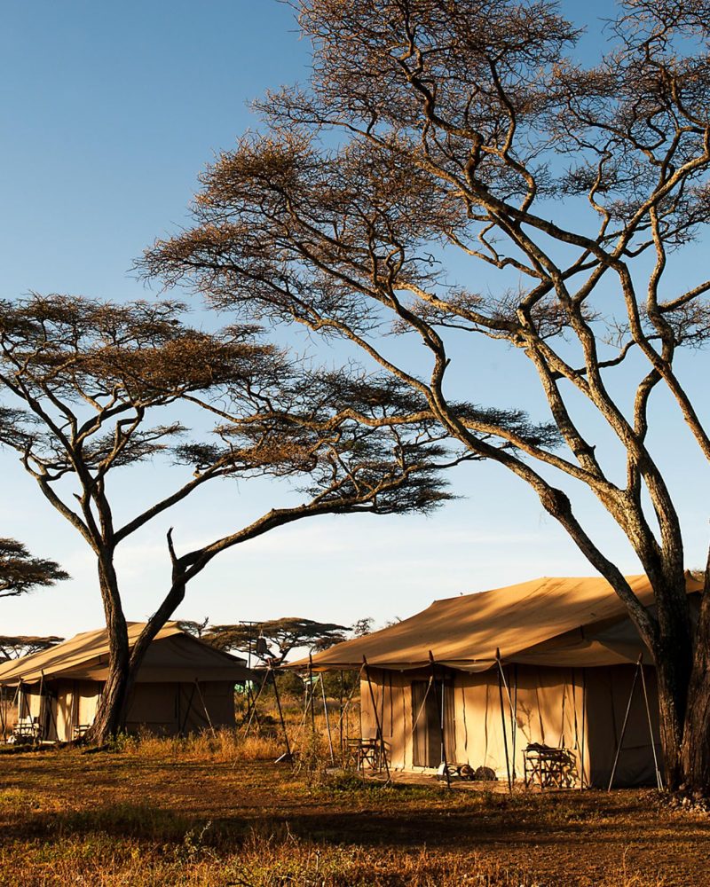 Mara Under Canvas North Serengeti_2
