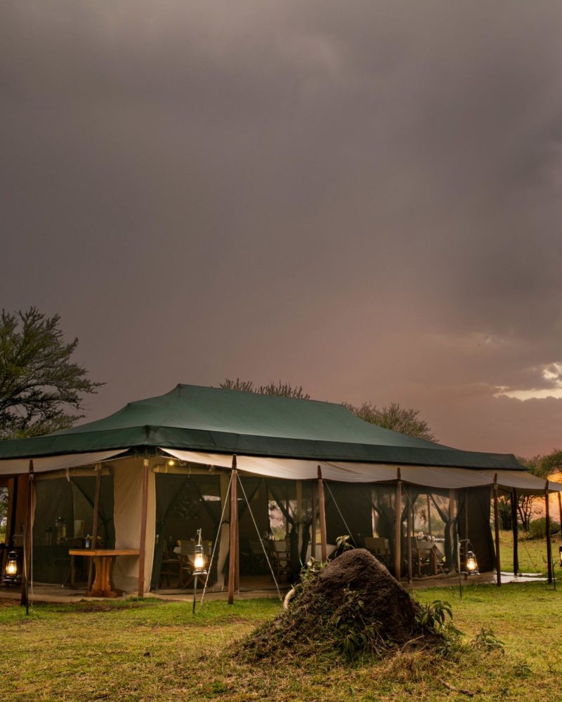 Mara Under Canvas_2