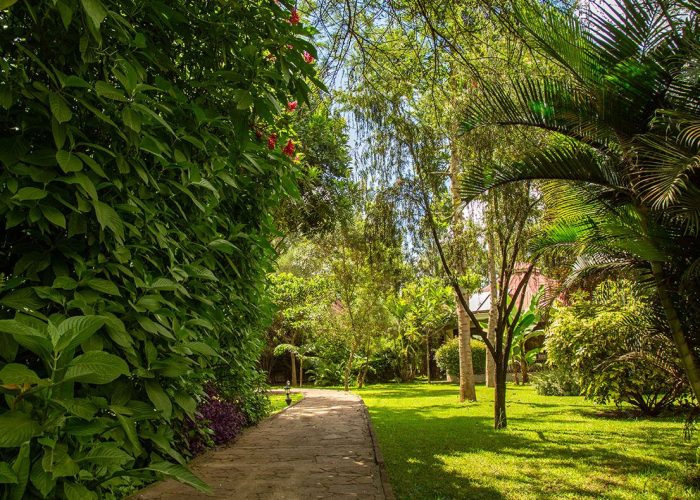 Planet Lodge Arusha (50)
