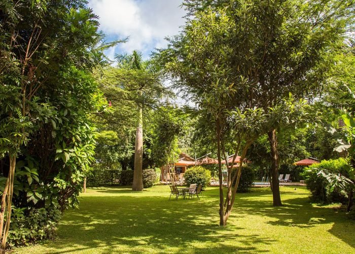 Planet Lodge Arusha (55)