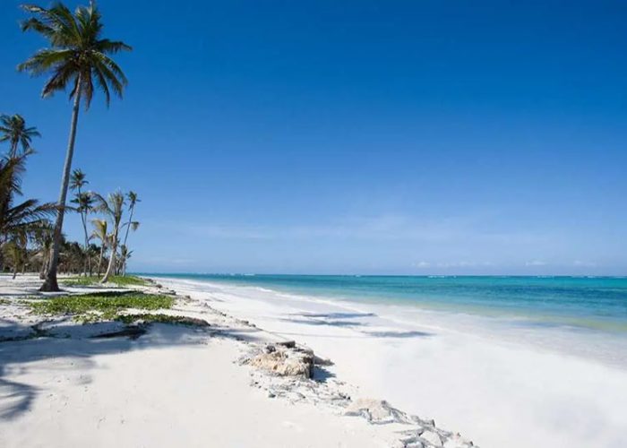 Stay Palms - Zanzibar (1)