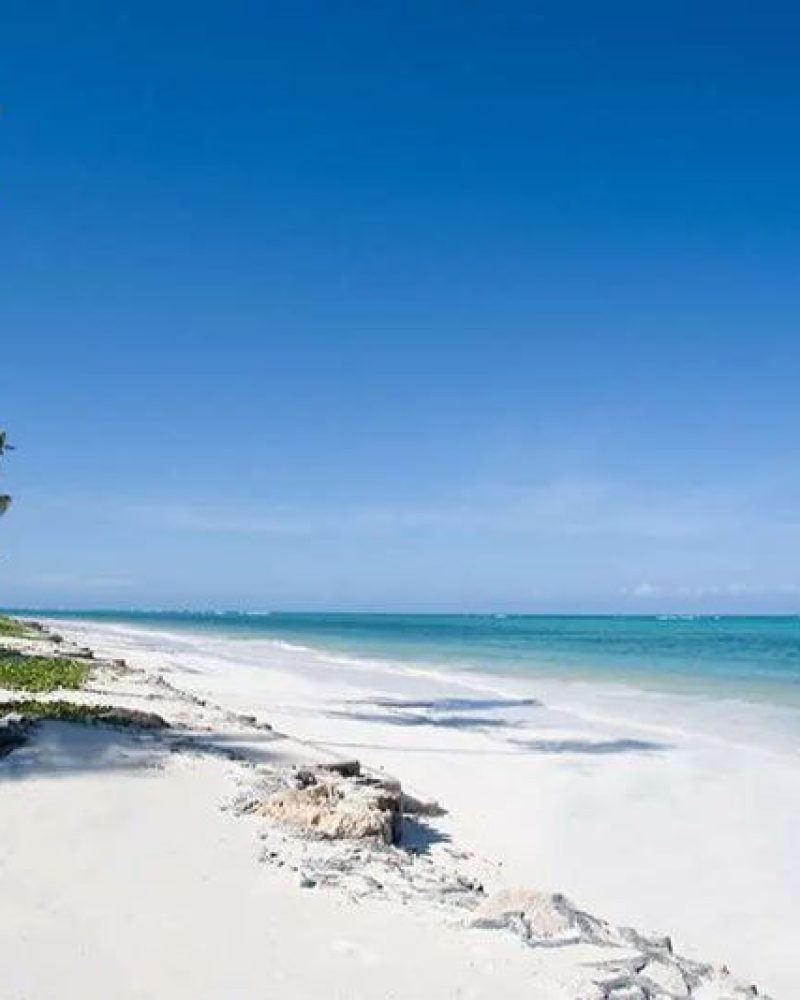 Stay Palms - Zanzibar (1)