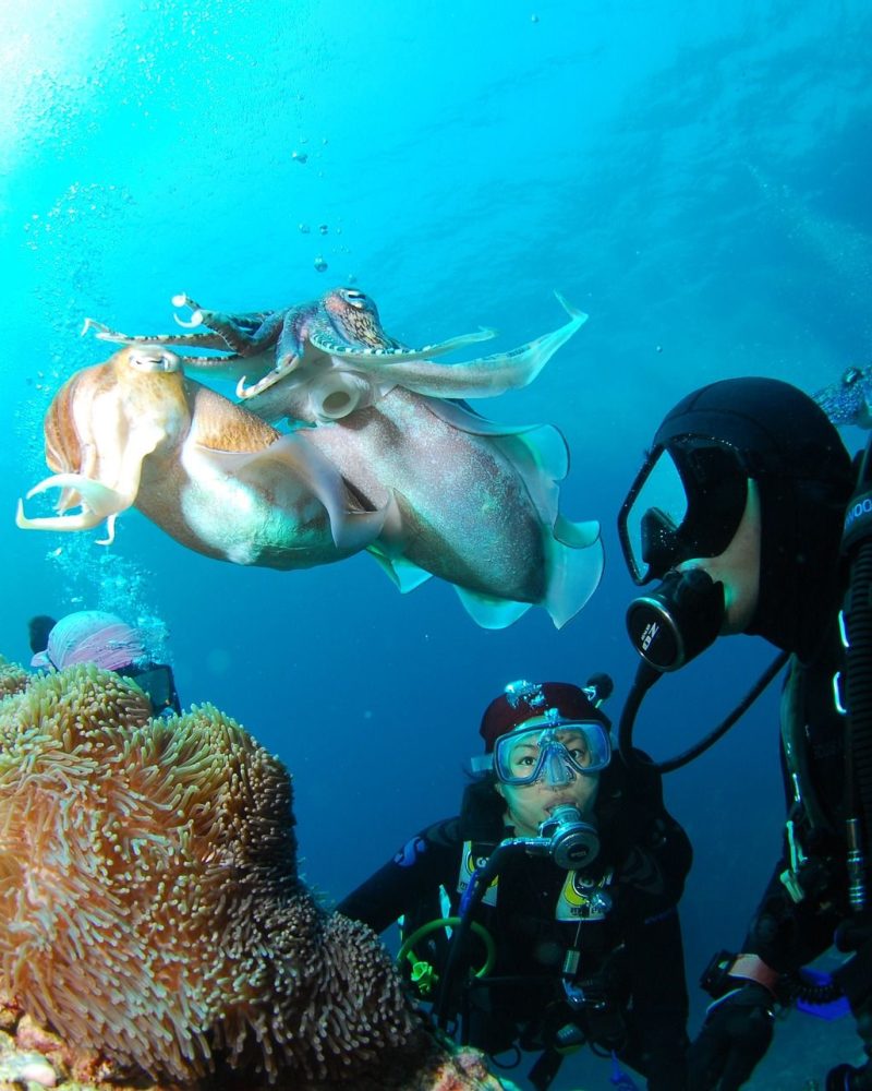 diving-689831_1920