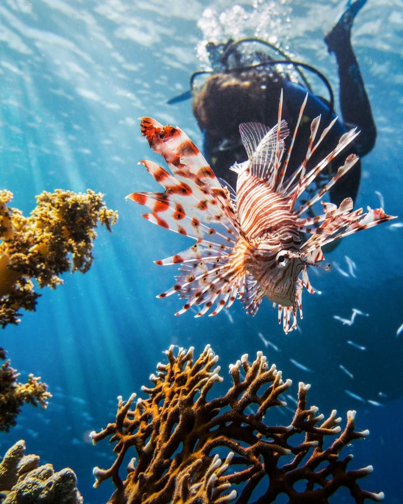 red-sea-2613882_1920