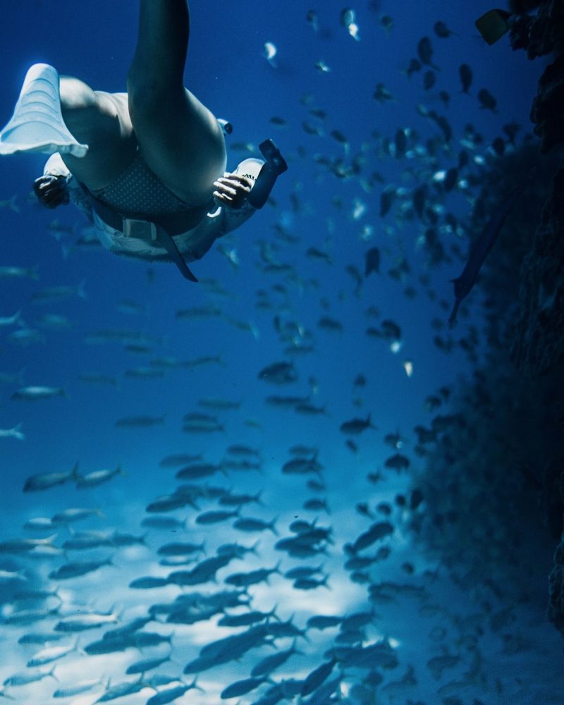 underwater-5310365_1920