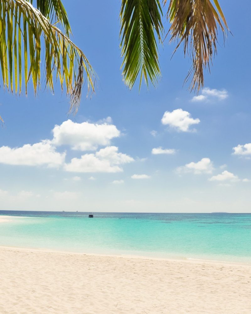 zanzibar 4
